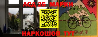 шишки Апшеронск