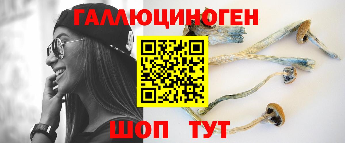 хочу наркоту  Галлюциногенные грибы мухоморы  Вход с VPN  Великие Луки  Псилоцибиновые грибы Magic Shrooms 